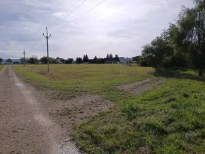 Dražba pole, Vrbice, 9030 m2
