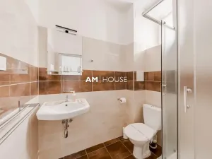 Pronájem ubytování, Praha - Nové Město, Opatovická, 1000 m2