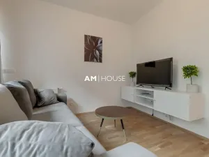 Pronájem bytu 2+kk, Praha - Karlín, Breitfeldova, 55 m2
