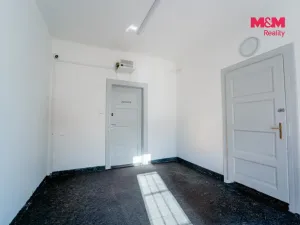 Pronájem obchodního prostoru, Plzeň - Východní Předměstí, Koterovská, 43 m2