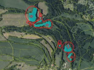 Prodej lesa, Malšovice, 62626 m2
