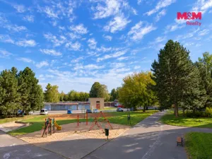 Prodej bytu 1+1, Chrudim - Chrudim IV, Strojařů, 42 m2