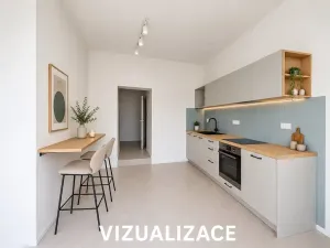 Pronájem bytu 1+kk, Brno, Cejl, 30 m2