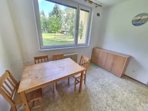 Pronájem bytu 1+1, Jihlava, Březinova, 32 m2