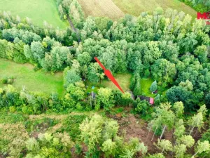 Prodej chaty, Skorkov, 41 m2