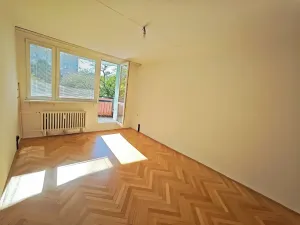 Prodej bytu 2+1, Brno, Nezvalova, 53 m2