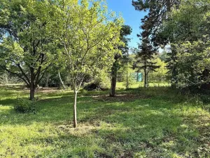 Prodej zahrady, Brno, 642 m2