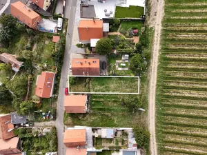 Prodej vinného sklepa, Pavlov, Zahradní, 198 m2
