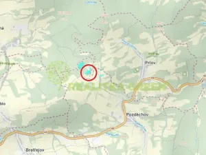 Prodej lesa, Pozděchov, 14279 m2