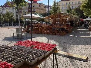 Pronájem bytu 2+kk, Praha - Žižkov, Baranova, 58 m2
