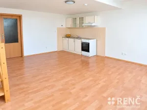 Pronájem bytu 2+kk, Brno, Štefánikova, 50 m2