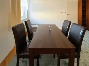 Pronájem bytu 1+1, Brno, Gorkého, 40 m2