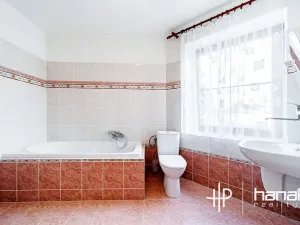 Pronájem rodinného domu, Doloplazy, 276 m2