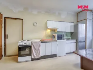 Prodej bytu 1+1, Plzeň - Východní Předměstí, Úslavská, 45 m2