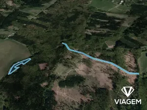 Prodej podílu lesa, Bojkovice, 3318 m2
