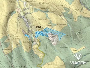Prodej podílu lesa, Bojkovice, 3318 m2