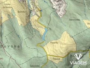 Prodej podílu lesa, Bojkovice, 3318 m2
