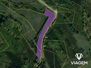 Prodej podílu lesa, Bojkovice, 3318 m2