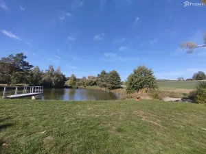 Prodej pole, Ježkovice, 56184 m2