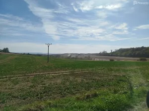Prodej pole, Ježkovice, 56184 m2