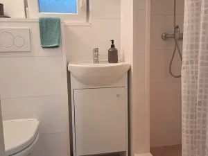 Prodej obchodního prostoru, Brno, Rokycanova, 62 m2