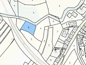 Prodej lesa, Strmilov, 1666 m2