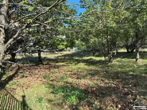 Prodej pozemku pro bydlení, Krhanice, 3530 m2