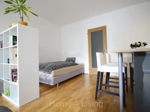 Prodej bytu 1+kk, Brno, Božetěchova, 45 m2