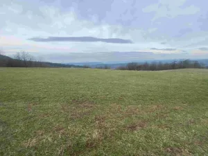 Dražba louky, Mírová pod Kozákovem, 14714 m2