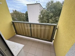 Prodej bytu 1+1, Přerov, U Tenisu, 40 m2