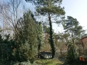 Prodej chaty, Chudíř, 85 m2