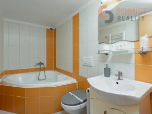 Prodej vícegeneračního domu, Podivín, 450 m2