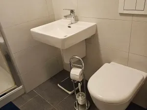 Pronájem bytu 1+kk, Brno, Stará, 38 m2