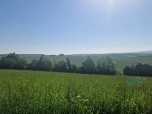 Prodej rodinného domu, Oprostovice, 330 m2