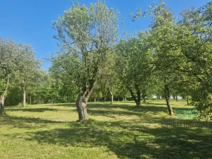 Prodej rodinného domu, Oprostovice, 330 m2
