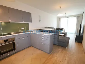 Pronájem bytu 4+kk, Praha - Žižkov, Olšanská, 110 m2