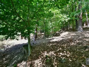 Prodej rodinného domu, Děčín, Včelná, 120 m2