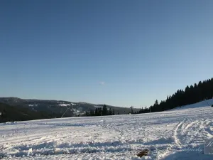 Prodej pozemku pro bydlení, Kraslice, Pod lesem, 630 m2