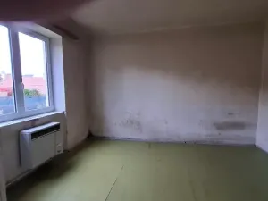 Prodej vícegeneračního domu, Miroslav, Česká, 250 m2
