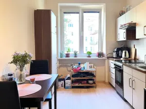 Pronájem bytu 2+1, Brno, Leitnerova, 54 m2