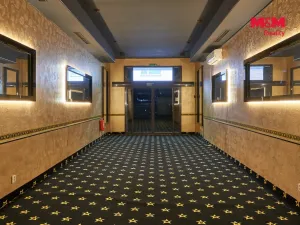 Pronájem obchodního prostoru, Uherský Brod, Moravská, 205 m2