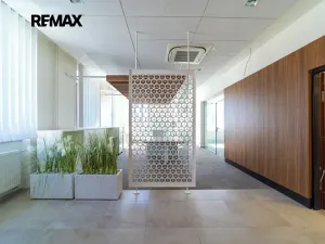 Prodej obchodního prostoru, Králíky, 5. května, 519 m2