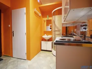 Pronájem bytu 1+kk, Praha - Žižkov, Blodkova, 20 m2
