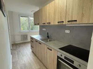 Pronájem bytu 2+1, Uherský Brod, Partyzánů, 51 m2