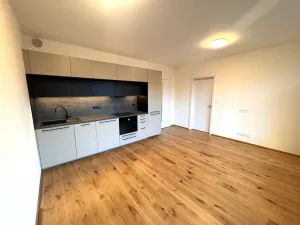 Pronájem bytu 2+kk, Praha - Nusle, Muzikova, 41 m2
