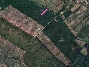 Prodej pole, Nový Poddvorov, 6090 m2