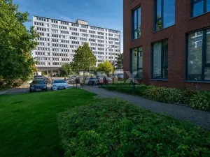 Pronájem bytu 1+kk, Praha - Karlín, Molákova, 36 m2