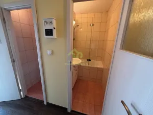 Pronájem bytu 1+1, Plzeň, Břeclavská, 39 m2
