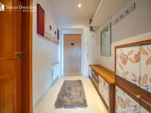 Prodej bytu 2+kk, Brno, Haškova, 77 m2