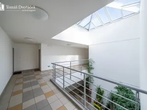 Prodej bytu 2+kk, Brno, Haškova, 77 m2